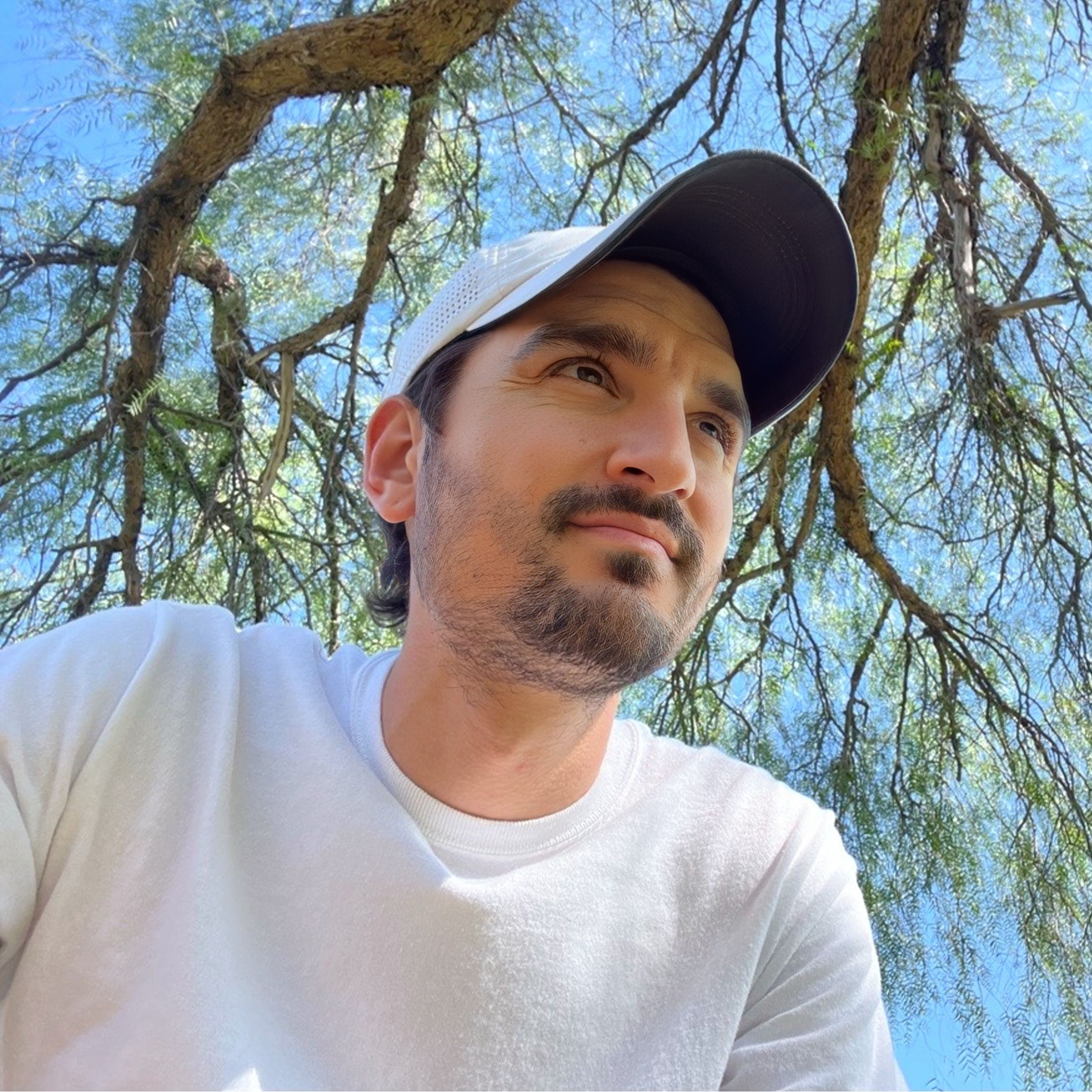 A low-angle selfie of a bearded man wearing a white t-shirt and a white baseball cap with a dark brim, looking up towards the right. He is outdoors, underneath the branches of a tree with sparse green leaves against a bright blue sky.
